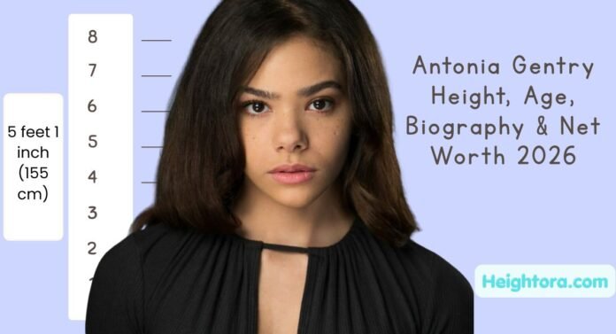 Antonia Gentry Height