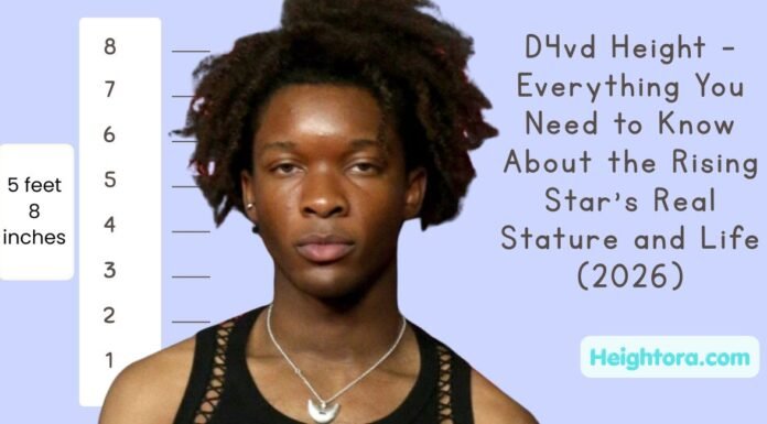 D4vd Height D4vd Height